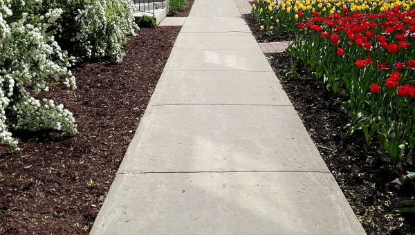 Cost of Sidewalk Slab Replacement in Stockton