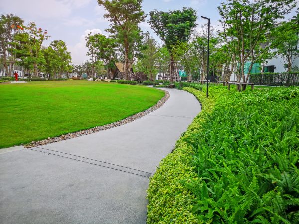 Cost of Cement Walkway Service in Stockton