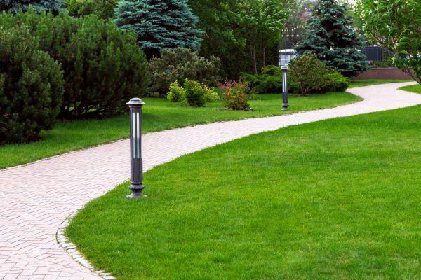 Cost of Backyard Sidewalk Installation in Stockton