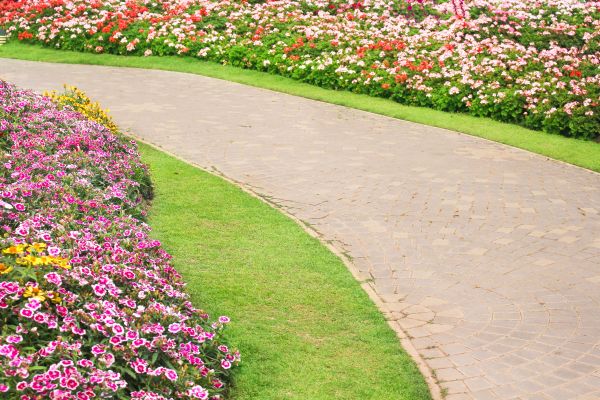 Cost of Concrete Walkway Service in Stockton