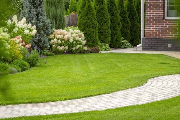 Cost of Landscape Walkway Installation in Stockton